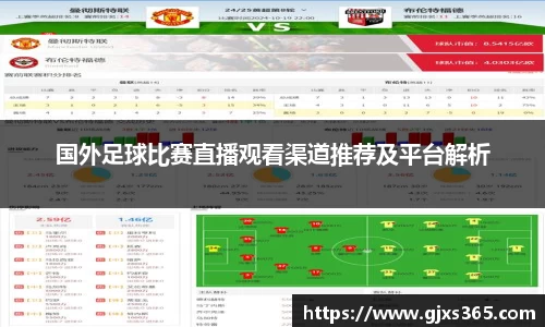 国外足球比赛直播观看渠道推荐及平台解析
