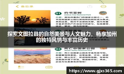 星欧娱乐下载官网